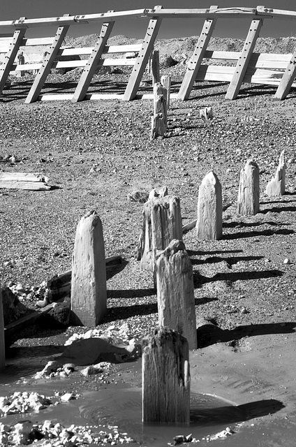 Weathered groynes