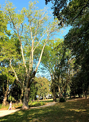 Kaiserin-Auguste-Viktoria-Park