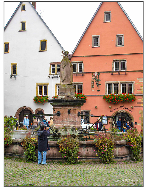 Eguisheim Herbst 24