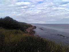 Nuages sur rivage sauvage / Clouds above wild shoreline