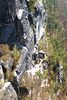 Bastei - Blick auf den Rahm-Hanke Weg