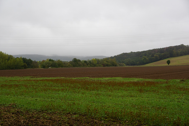 A Walk in the Rain III