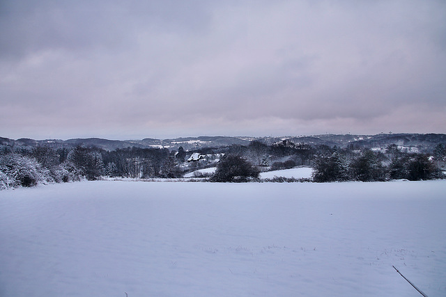 Blick über die Herzkämper Mulde (Sprockhövel) / 15.01.2024