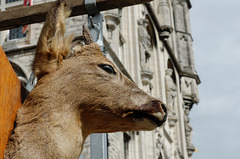 C'était une biche