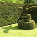 Buxus Opvlieger