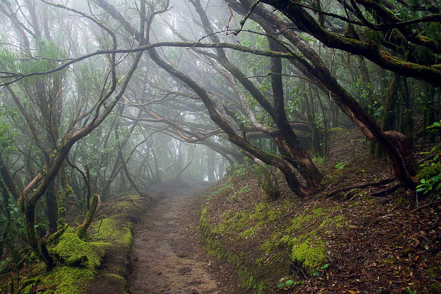 Nebel am Ende des Tunnels