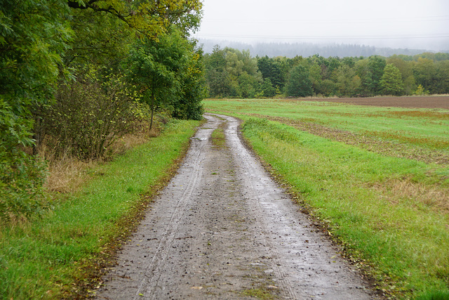 A Walk in the Rain IV