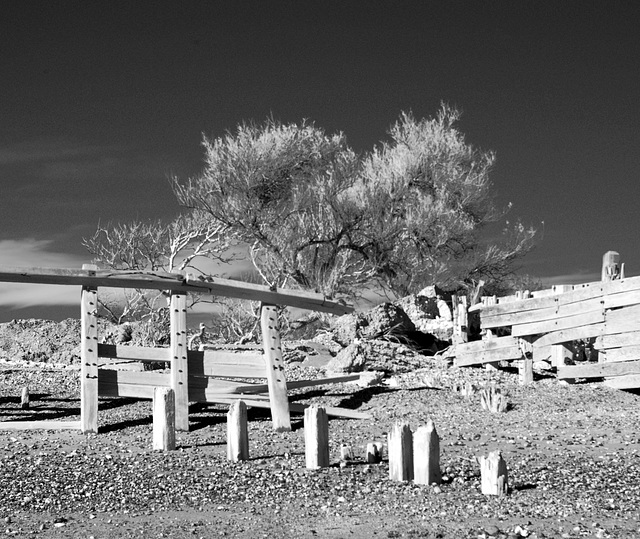 Coastal woodwork