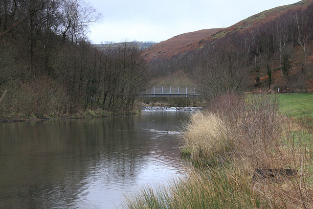 The Bargoed Taff