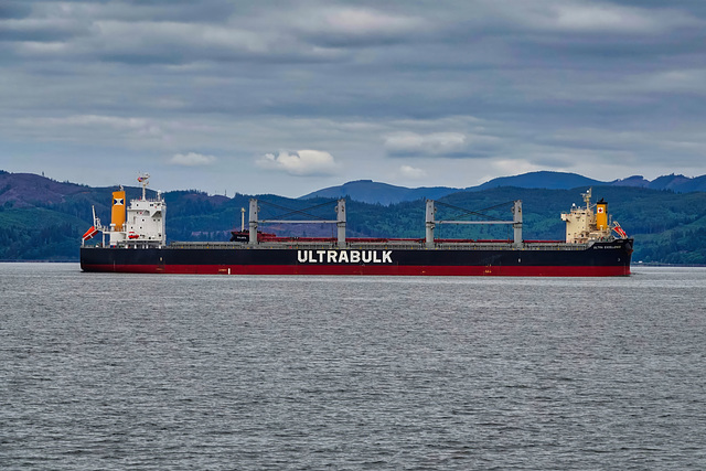 The Tail of Two Bulk Carriers