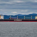 The Tail of Two Bulk Carriers
