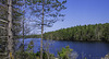 am Naiscoot Lake (© Buelipix)