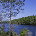 am Naiscoot Lake (© Buelipix)