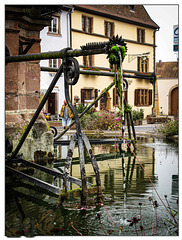 Eguisheim Herbst 24