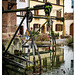 Eguisheim Herbst 24