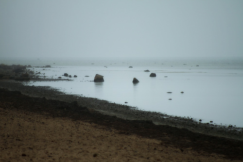 Baltic Sea - Bonjour Tristesse