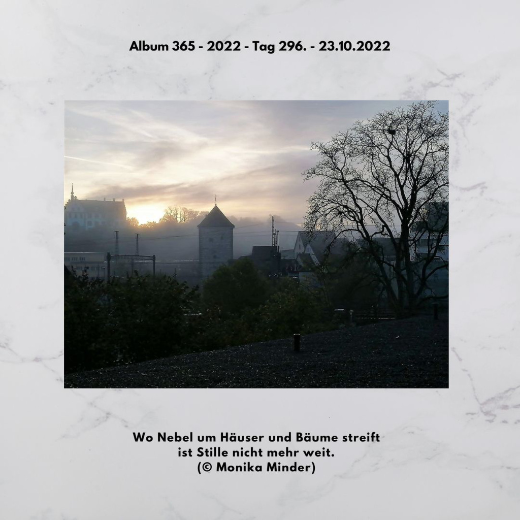 Album 365 - 2022 - Tag 296. - 23.10.2022