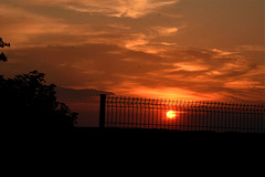 Sunset behind a fence!