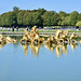 Paris 2024 – Versailles – Bassin d’Apollon