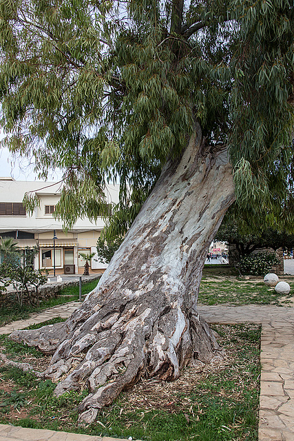 20141130 5819VRAw [CY] Famagusta, Nordzypern