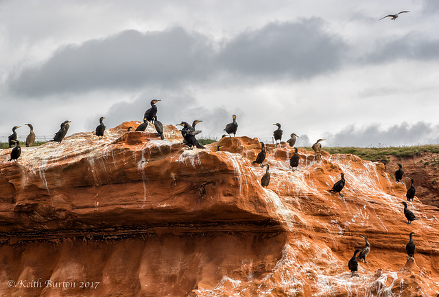 Exmouth Cruise19