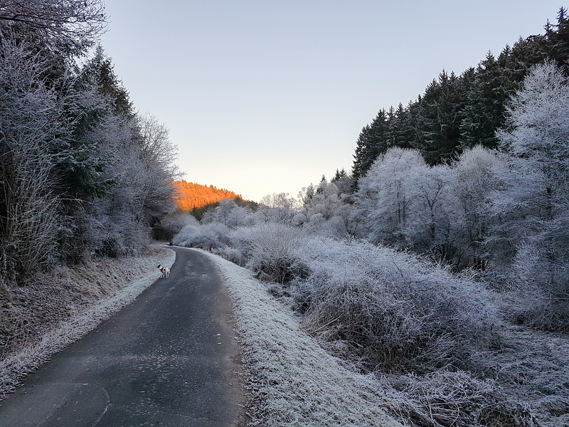 Blankenheim - Schaafbachtal