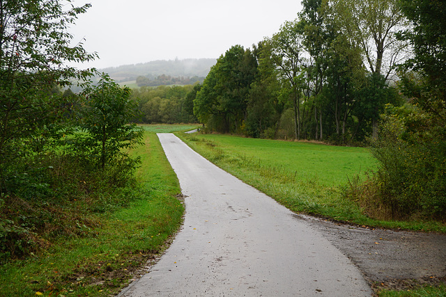 A Walk in the Rain VI