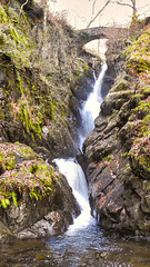 Aira Force