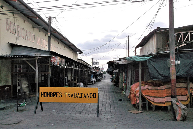 Mercado municipal (1)