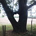 Love Tree