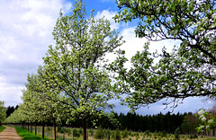 Frühling in der Ville