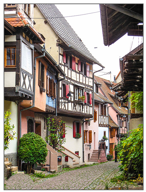 Eguisheim Herbst 24