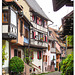 Eguisheim Herbst 24