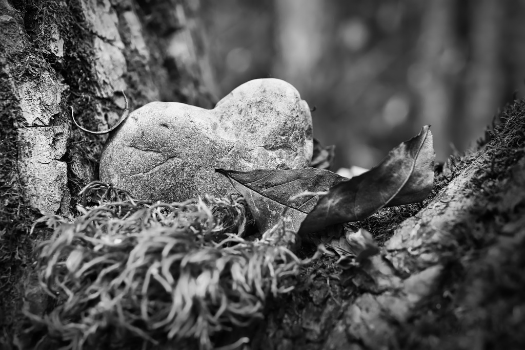 Das steinerne Herz wurde abgelegt :))  The stone heart was discarded :))  Le cœur de pierre a été jeté :))