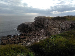 Cliffs and shoreline in a wilderness area / Rivage et falaise en région sauvage
