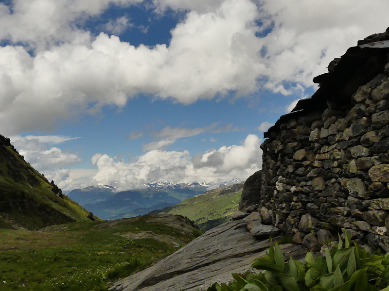 20160611 -18 Rando Meribel Les allues Jour5 (156)