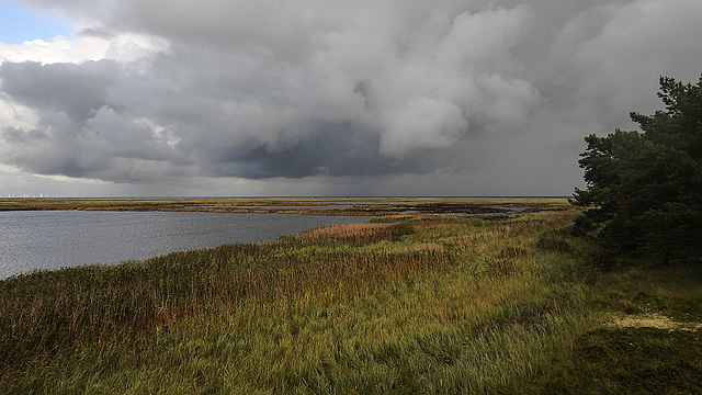 20190905 5833CPw [D~VR] Regenwolken, Darßer Ort