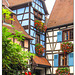 Eguisheim Herbst 24