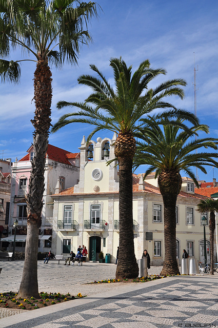 am Passeio Dom Luis I (© Buelipix)