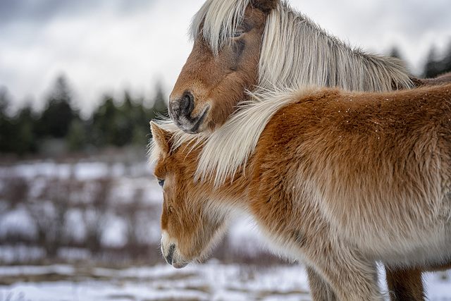 Mom and daughter