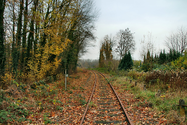 Bahnstrecke Essen-Überruhr–Bochum-Langendreer (Bochum-Werne) / 20.11.2018