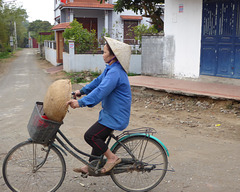 Visit  to a village in Vietnam