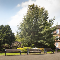 Three Benches