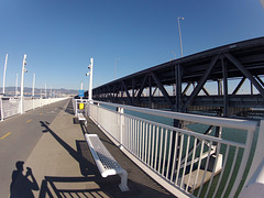 Alexander Zuckermann Bicycle-Pedestrian Path (0049)