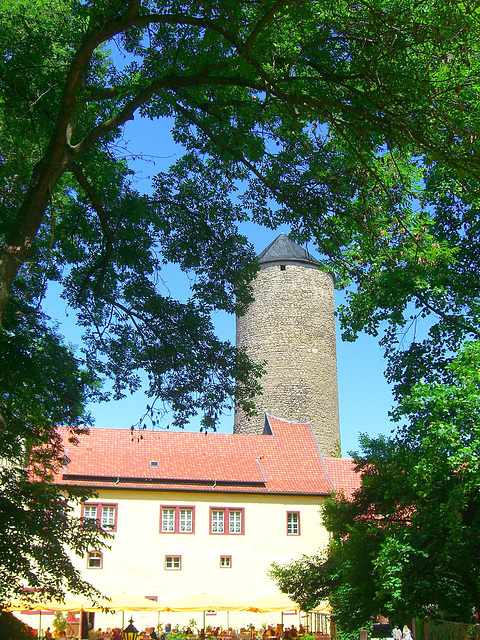 197 Die alte Westerburg bei Dedeleben