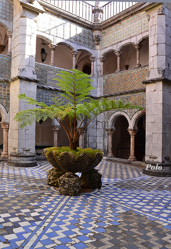 Sintra (PiP-1/2)