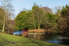 Buxton Pavilion Gardens (5 of 8)