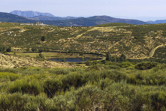 Point d'eau dans le massif de TANARGUE.