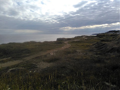 Un sentier à parcourir pour un plaisir maximal /A trail to explore for maximum enjoyment