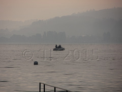 Morgennebel am Bodensee